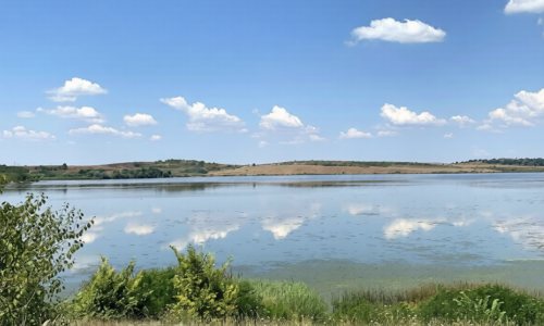 Prime Investment Land Near Burgas and the Black Sea 3,600 sq.m